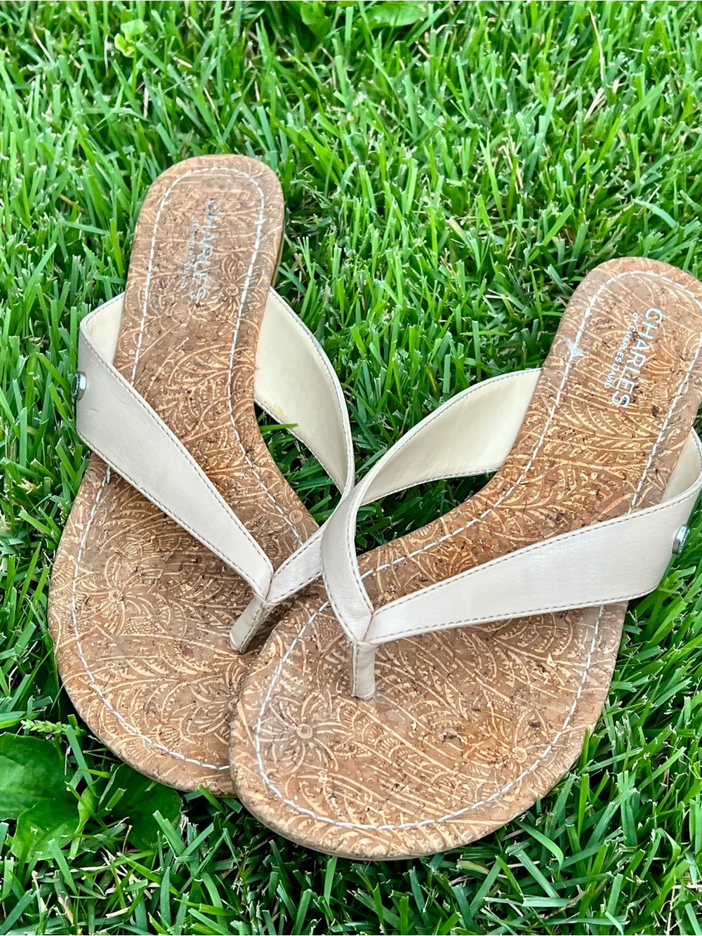 Charles by Charles David Leather Flat Stacked Heel Thong Sandal Slides 9.5M Nude